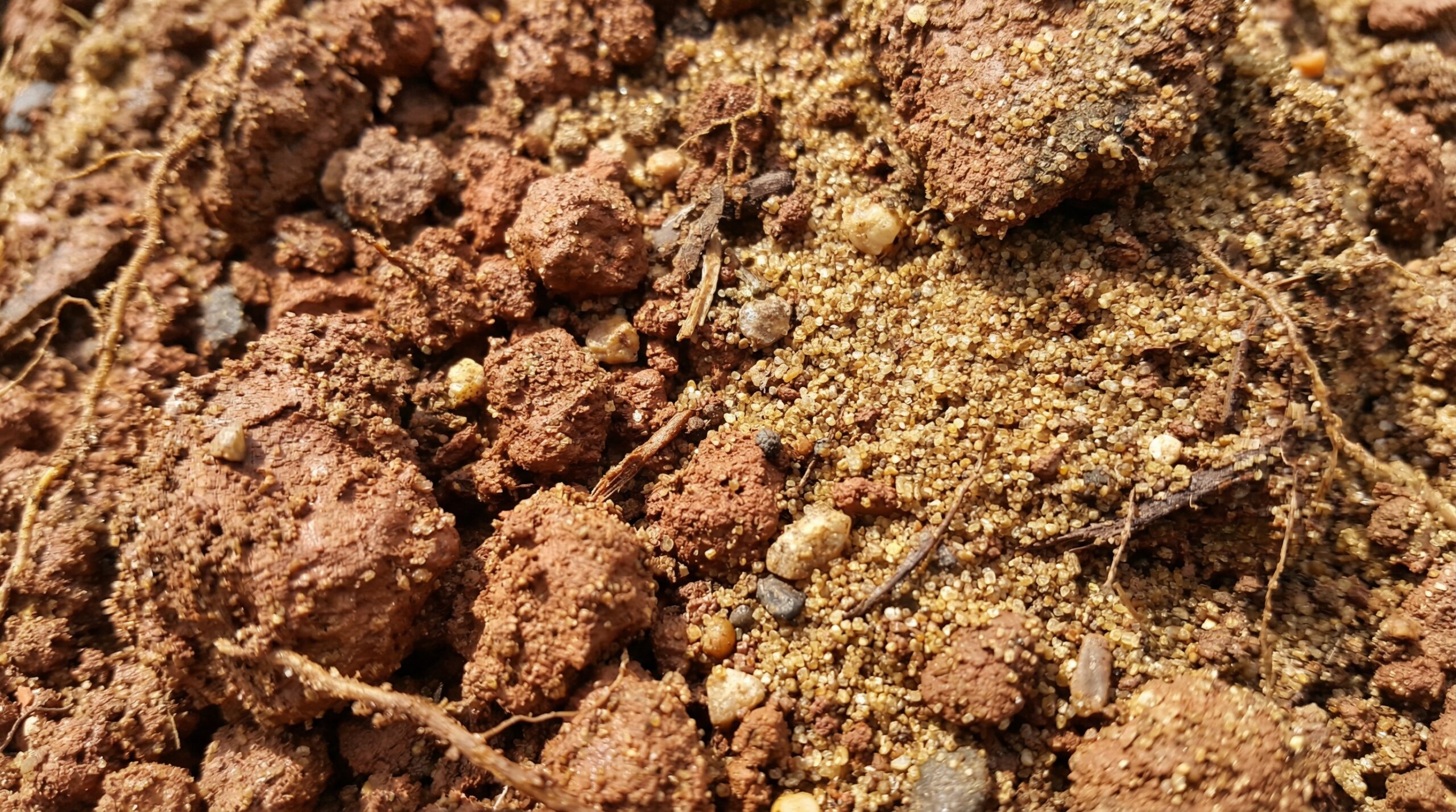 Close-up of quality fill dirt texture showing sand clay composition